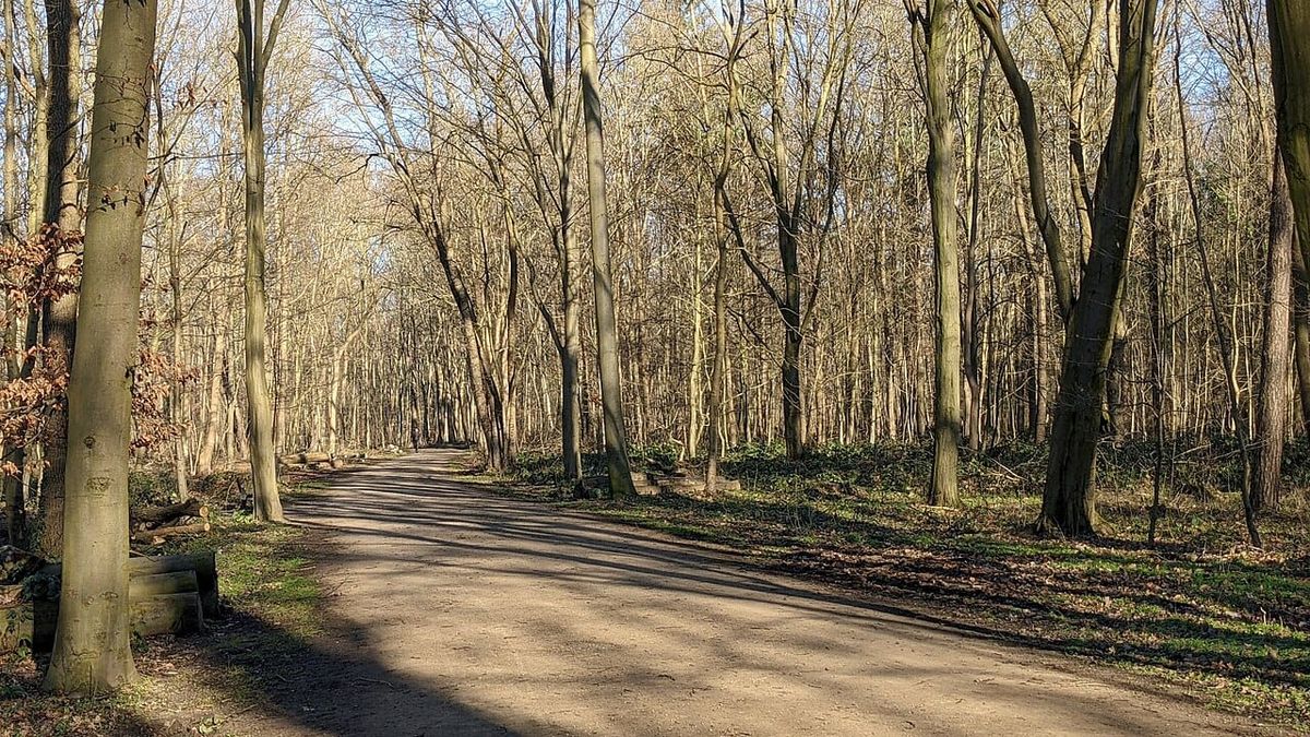 Insektenbündnis Hannover vom Bund ausgezeichnet