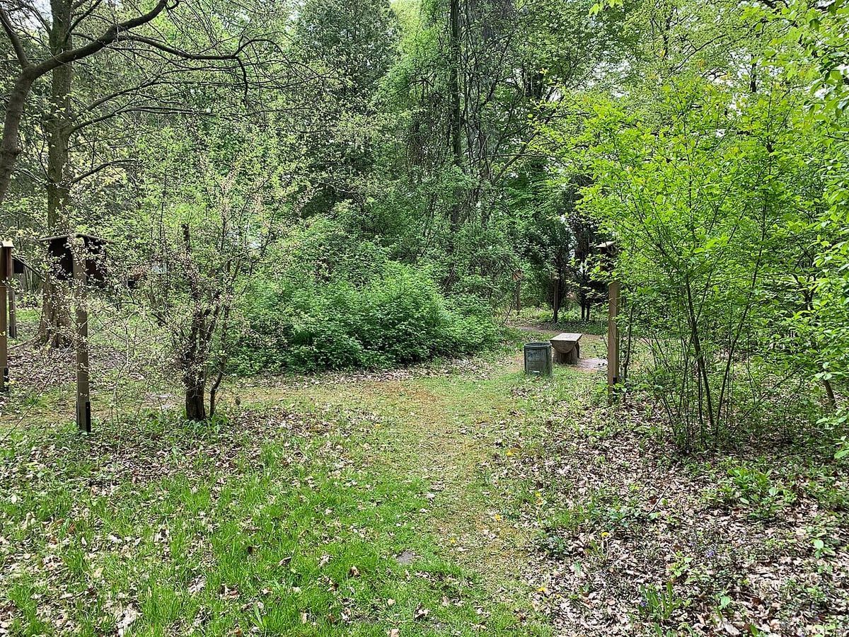 Konzert zum Weltkindertag im Kinderwald