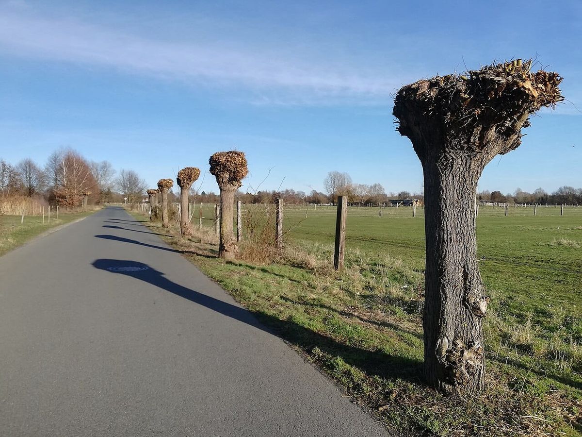 Veloroute Kleefelder Sonnenweg ab Sonntag für eine Woche voll gesperrt