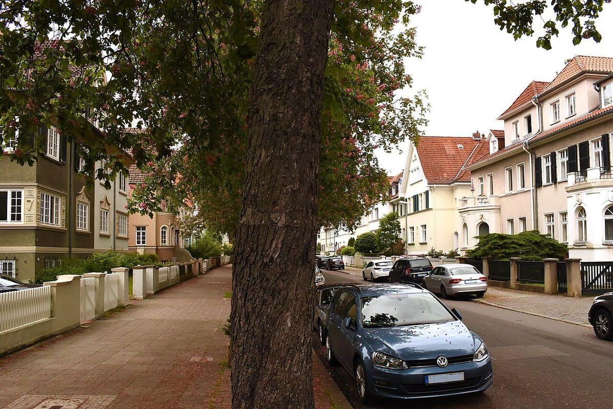 Brehmstraße und Menschingstraße verlieren Fahrradstraßen-Status — dafür kommen Poller