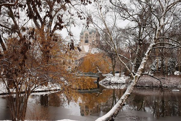 Mönkemeyer fragt nach fragwürdigen Mieterhöhungen — Verwaltung plant Meldeformular