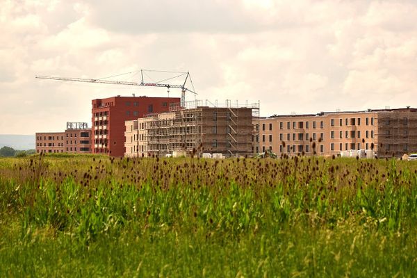Quartiersfest in Kronsrode: Niedersachsens größtes Neubaugebiet feiert sich selbst