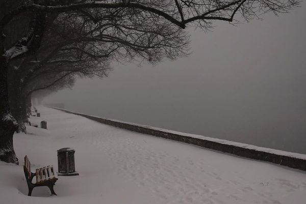 AfD-Fraktion will mehr Mülleimer am Maschsee