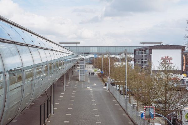 Hey, Donnerstag: Morgen fährt der Maibaumexpress