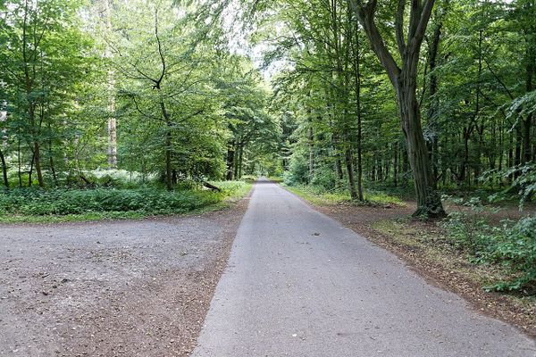 Stadt will Spielparks neu ausrichten