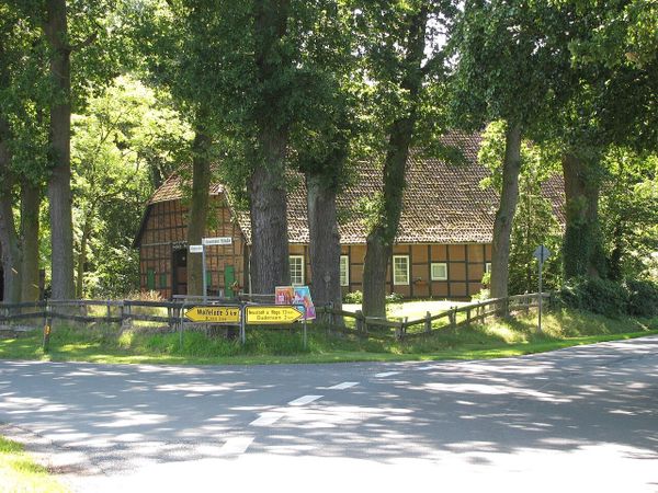 Schwerer Unfall auf der L 192: Vier junge Menschen lebensgefährlich und schwer verletzt