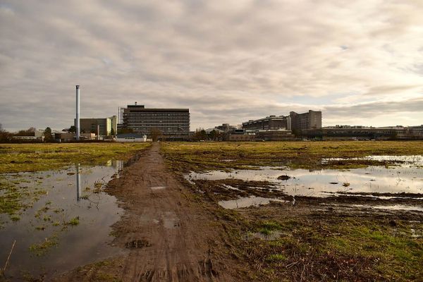 Anfrage zu Baumaßnahmen an der MHH: Wie steht es um Genehmigungen und Umweltfolgen?