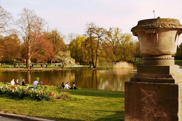 Infostand zum Maschpark-Umbau am Freitag an der Hardenbergbrücke