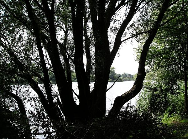 Personensuche an den Dreiecksteichen — Schwimmerin wohlbehalten aufgefunden