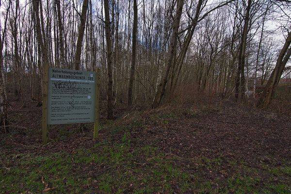 Eichenprozessionsspinner am Altwarmbüchener See — Stadt räumt Nester