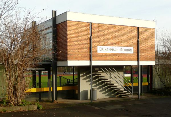 SPD will Kunstrasenplatz im Erika-Fisch-Stadion für Rugby prüfen lassen