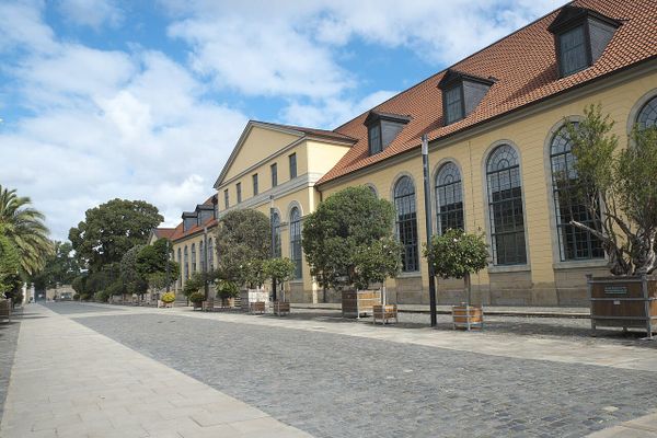 Nahklang-Konzertreihe: Vorverkauf für die Saison 26/27 startet am 1. August