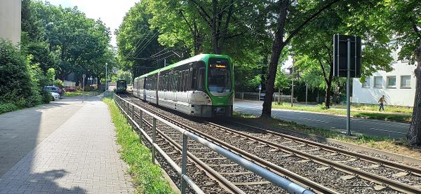 Linie 4: Busse statt Bahnen zwischen Garbsen und Marienwerder