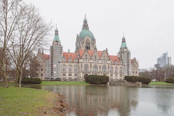 Hey, Sonntag: 120 Biber in Hannover
