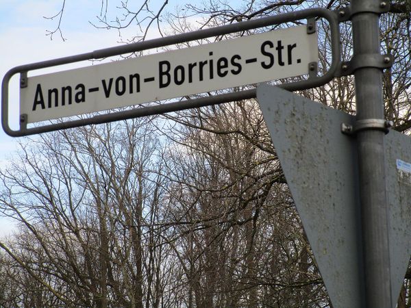 Buchholz-Kleefeld: Bedarfsampel soll Zebrastreifen an der Schierholzstraße ersetzen