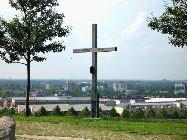Fast ausgestorbene Pflanze auf dem Kronsberg entdeckt