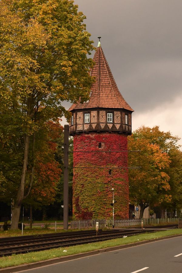 Südstadt bekommt eine Bibliothek der kleinen Dinge