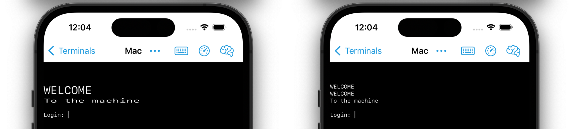 Double-width and double-height fonts are supported by La Terminal, but intermediate emulators erase this capability