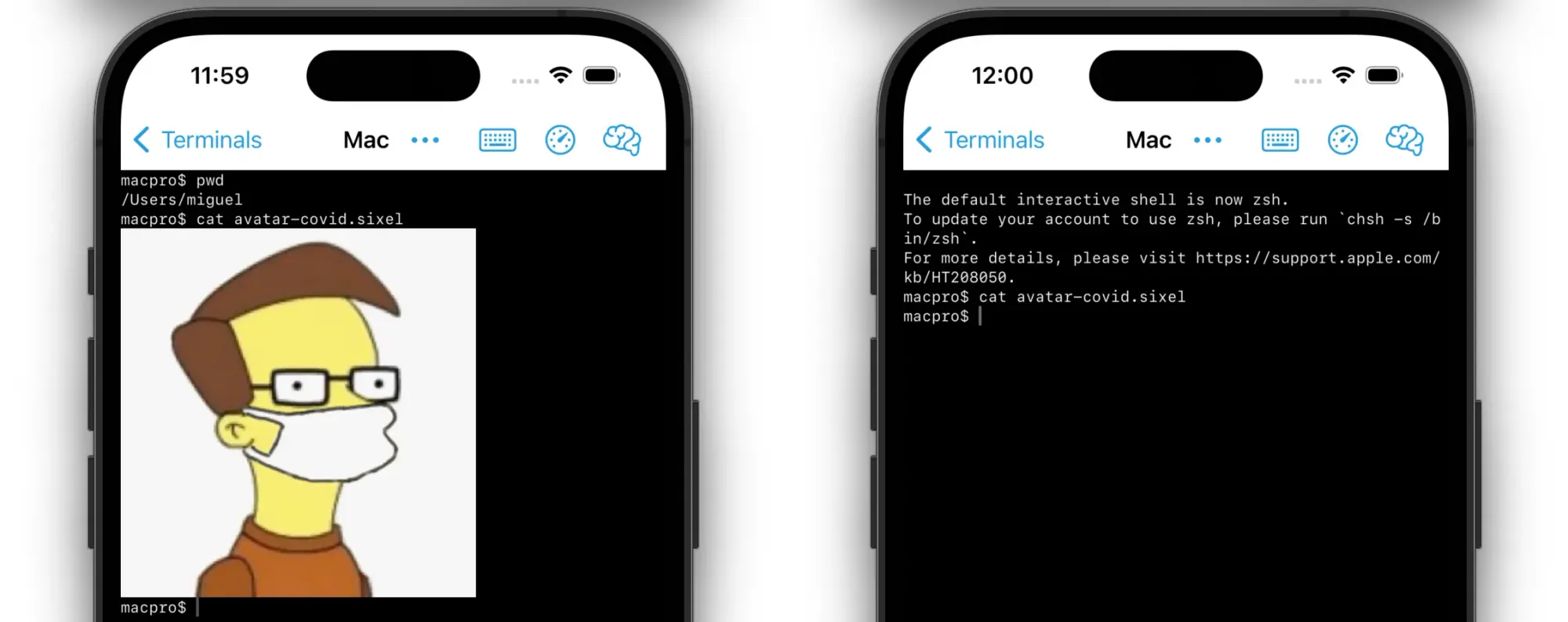 This shows how La Terminal can display inline images in the terminal, but when you use tmux the image is absent.