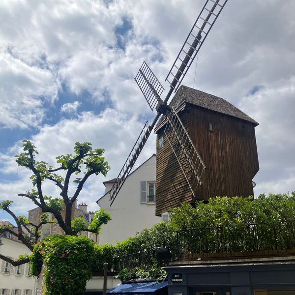 Of Cats and Communards