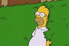 Home Simpson disappearing into a hedge