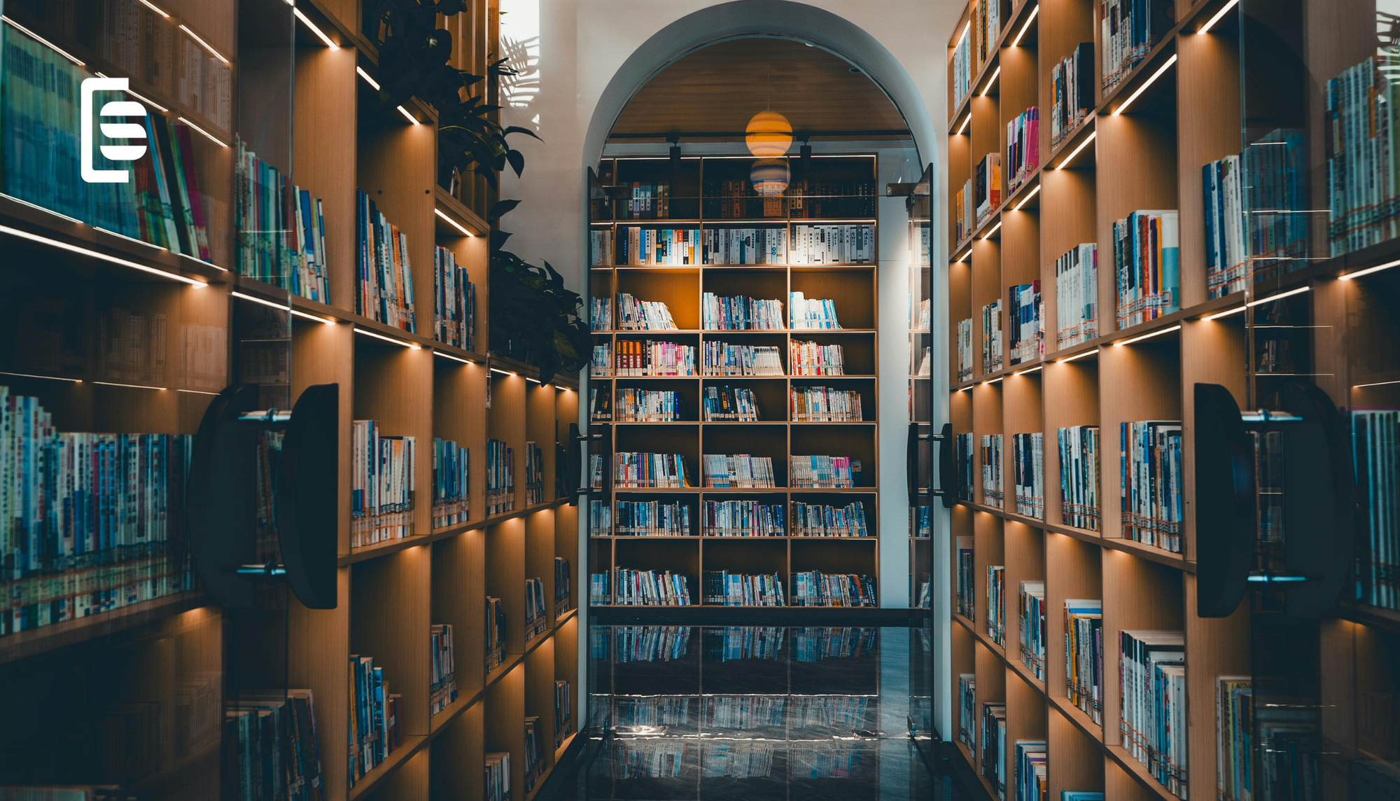 How to Get Your Ebook into Libraries