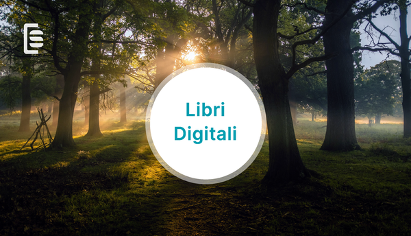 Rapporto AIE 2023: il digitale continua a crescere in Italia