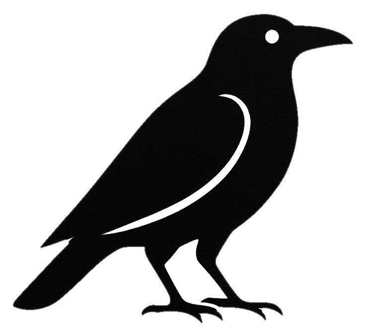 RavenStack