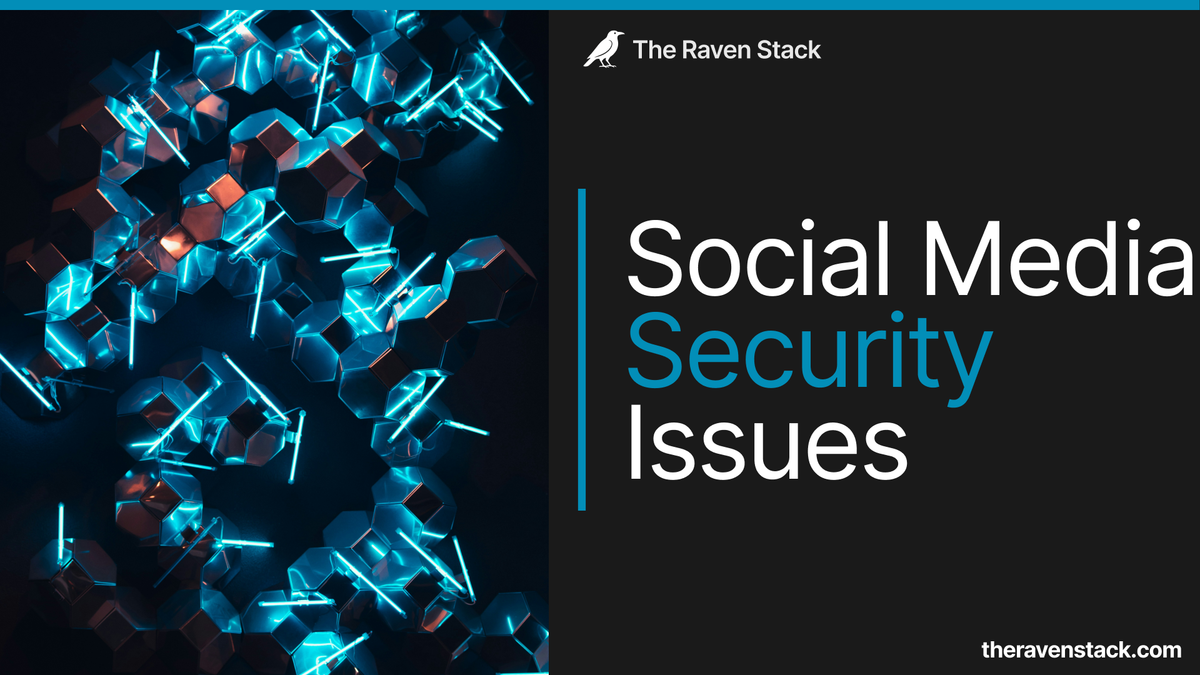 Cover for the article "social media security issues"