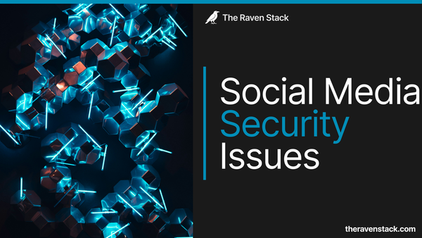 Cover for the article "social media security issues"
