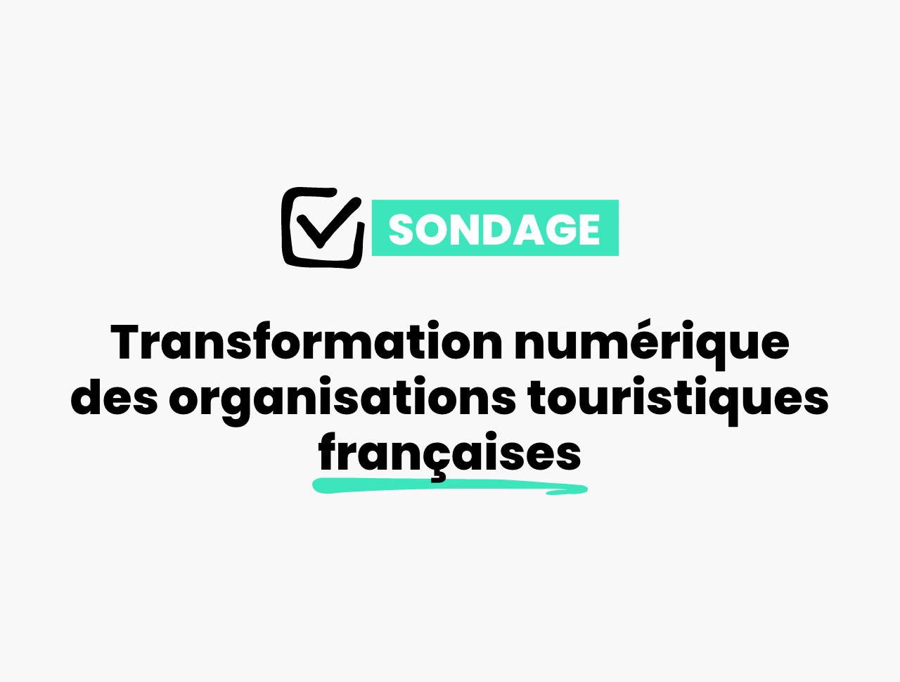 Sondage sur la transformation numérique des organisations touristiques françaises