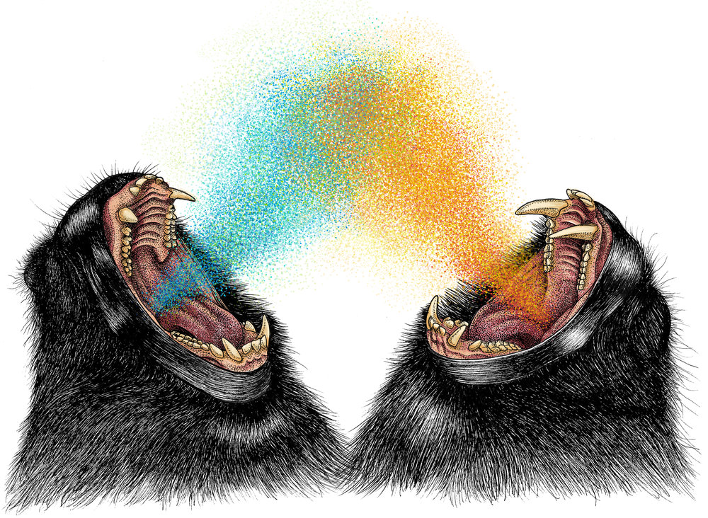 macaques