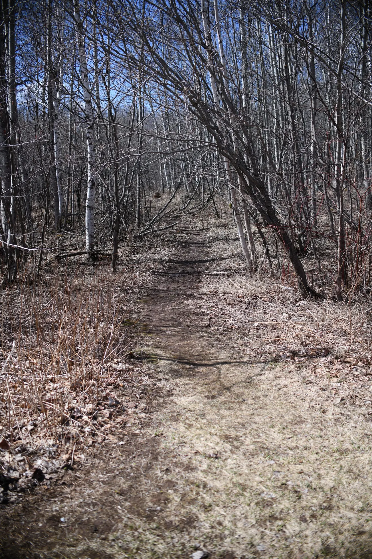 I-35 bridge work in Duluth begins April 15