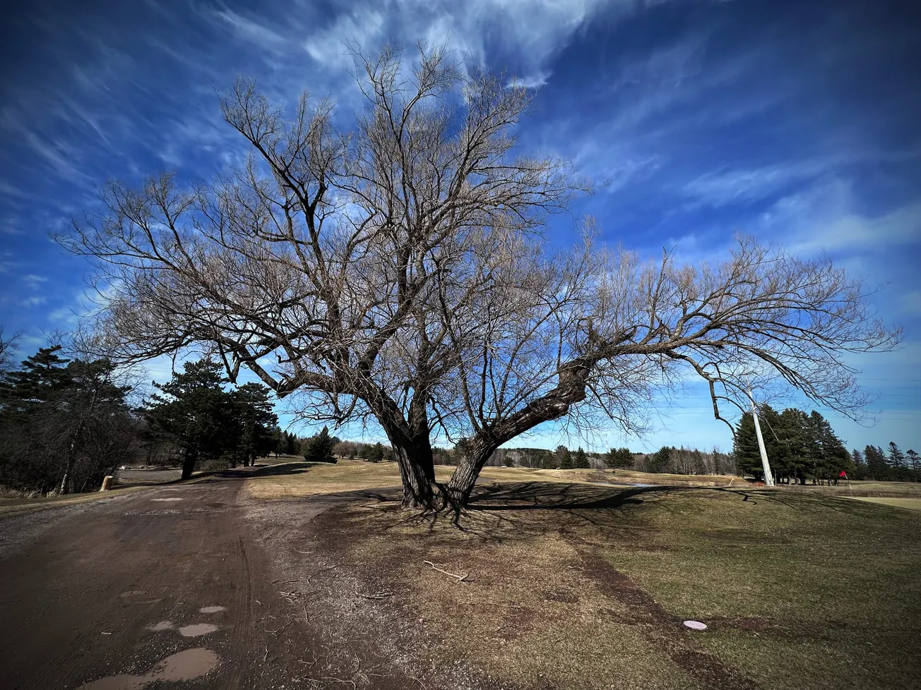 Thursday Notebook: Don’t let a wildfire become a life‐altering event