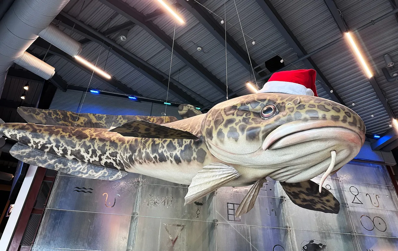 Great Lakes Aquarium: A tankful of trouble, then triumph