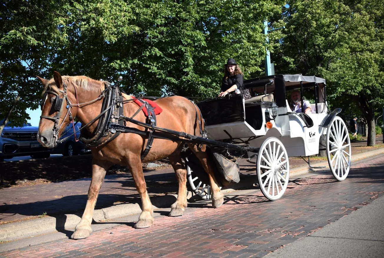 Howie on Duluth Tourism: Why Duluth is taking back its tourism story