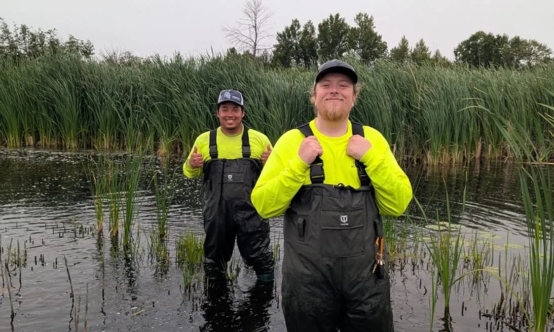 Community Action Duluth's Stream Corps plants more than 9,200 trees, turns attention to invasive species