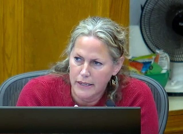 Wendy Durrwachter has become the council’s independent conscience