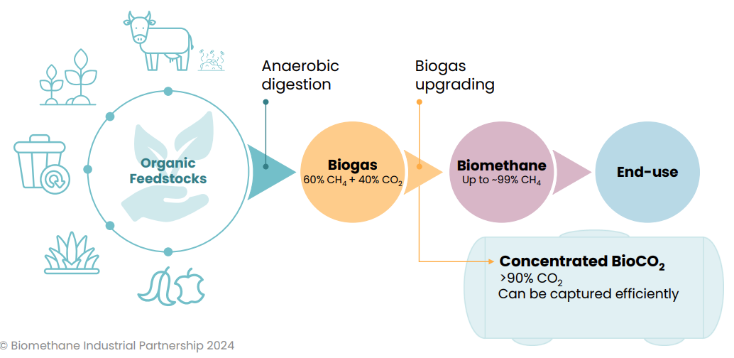 Repost: Biomethane is the killer application Europe needs to decarbonise