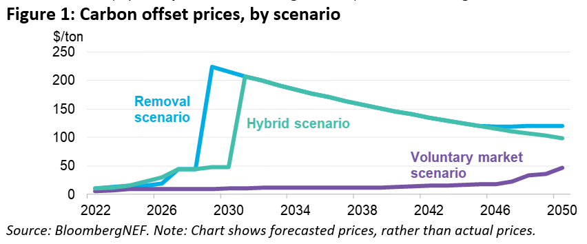 Technology-based carbon removal credits crucial if net-zero targets are to be met