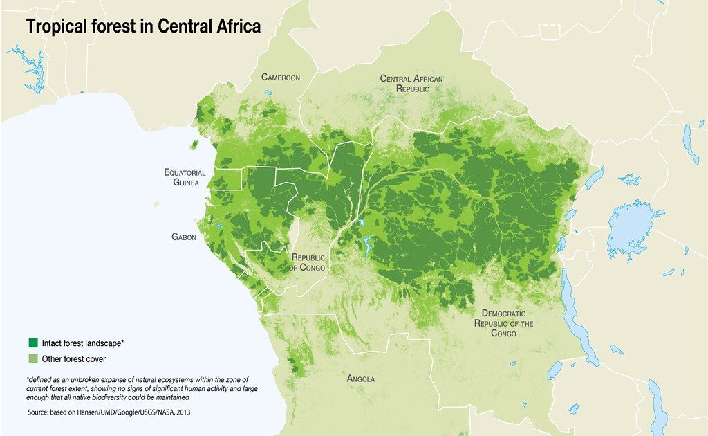 Africa's "green superpower"
