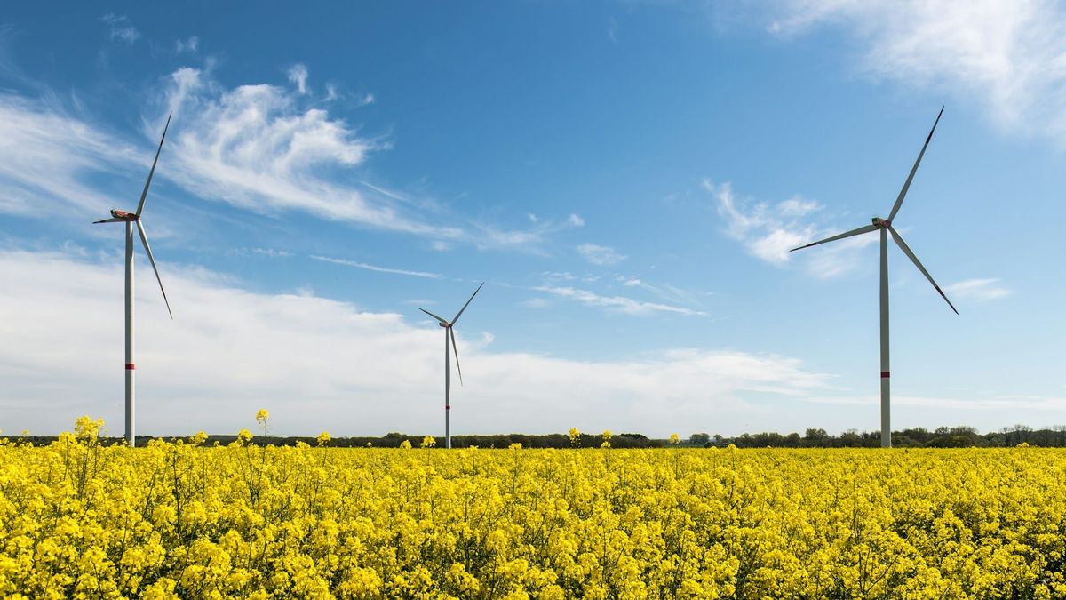 In search of lost revenue