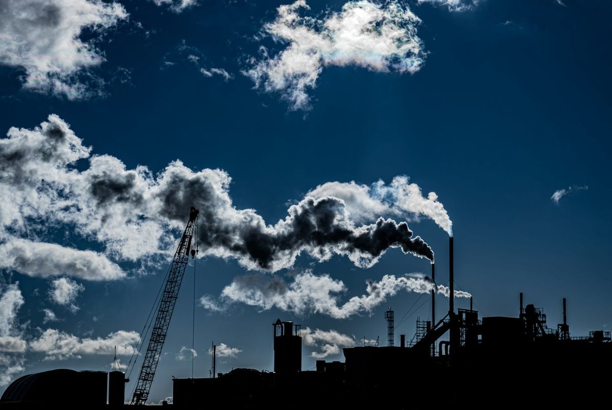 The Polluter Pays (in) Principle