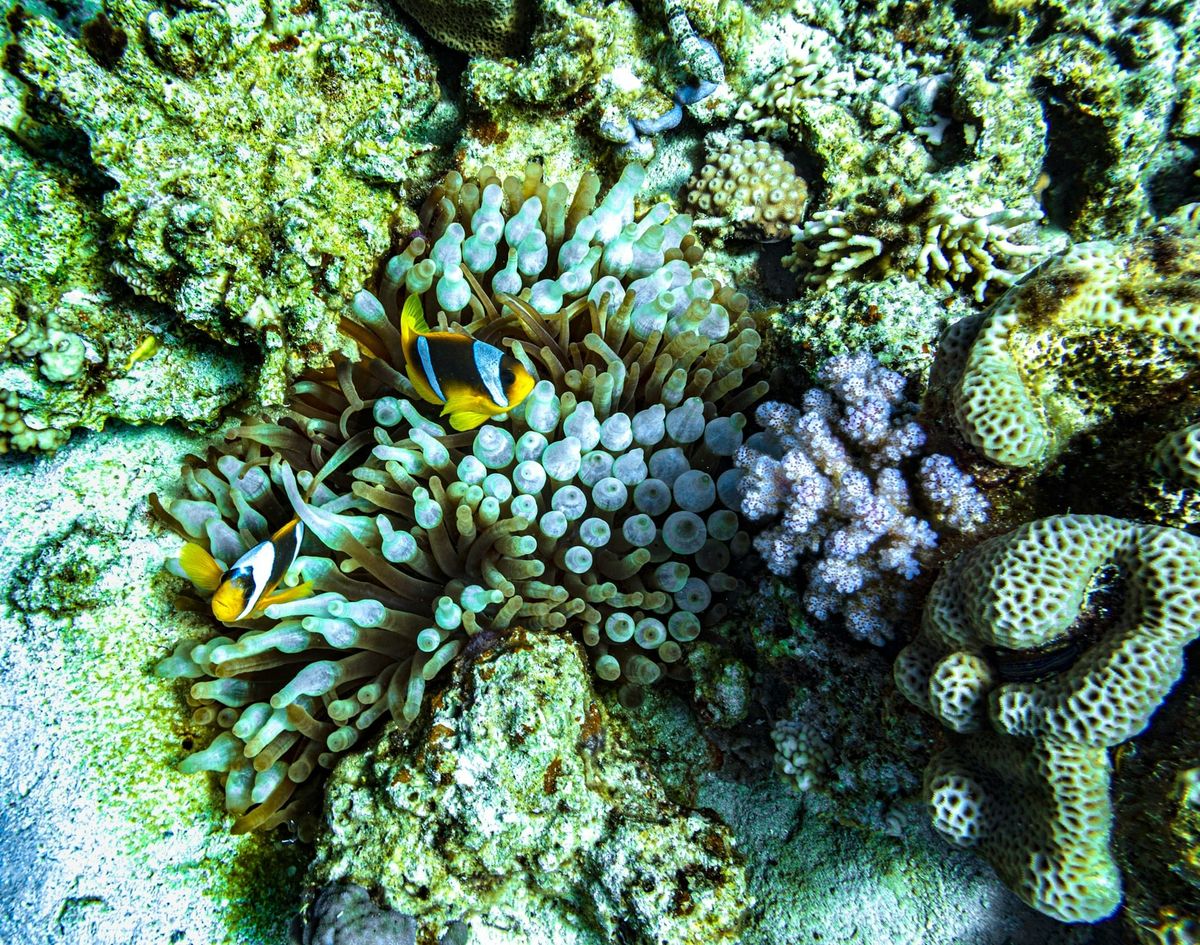 Repost: Climate change is showing its claws - it's time to adapt