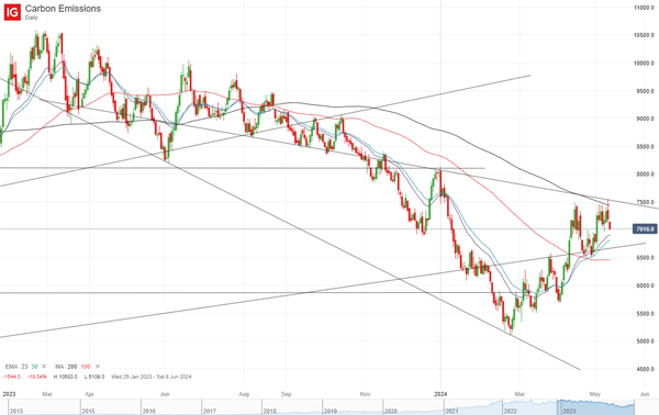 A bear market rally, or the start of a new bull run?