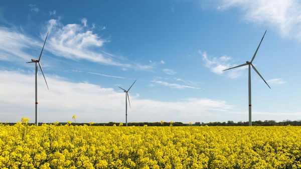 In search of lost revenue