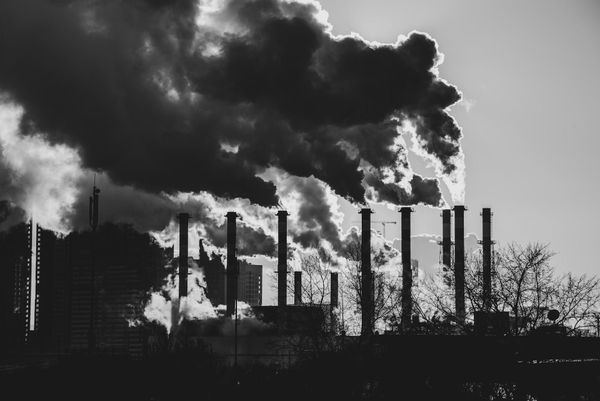 What constitutes an “effectively paid” carbon price?