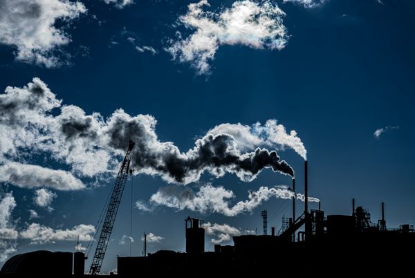 The Polluter Pays (in) Principle