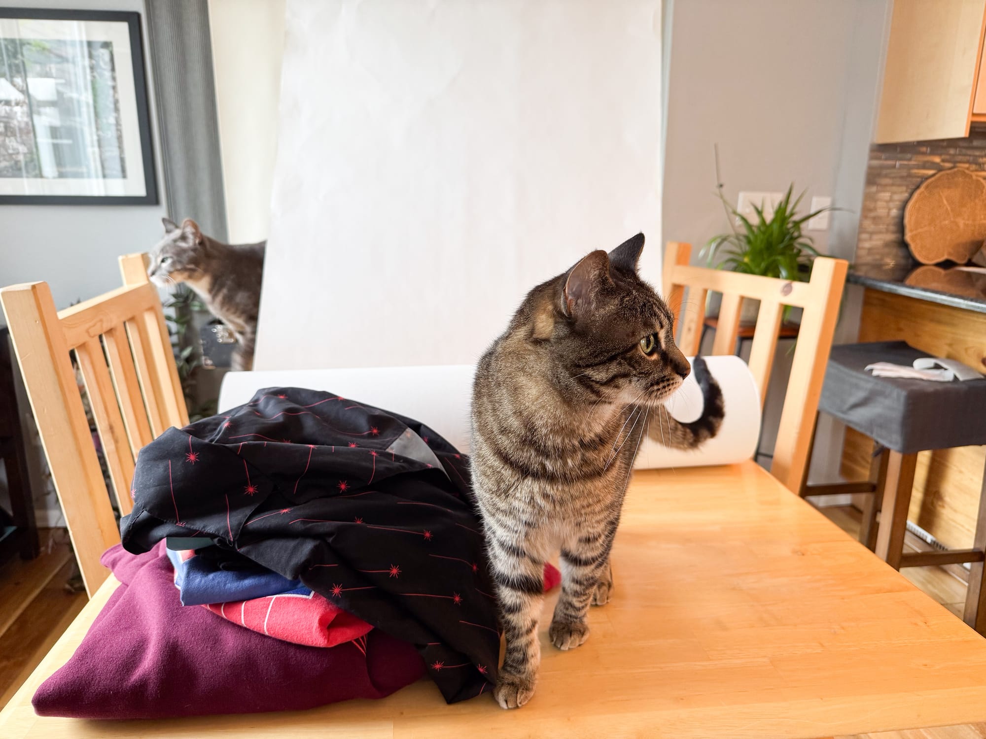 A grey and a brown tabby cat explore a kitchen table with a pile of colorful clothing and a big white roll of paper descending from the top of the photo.