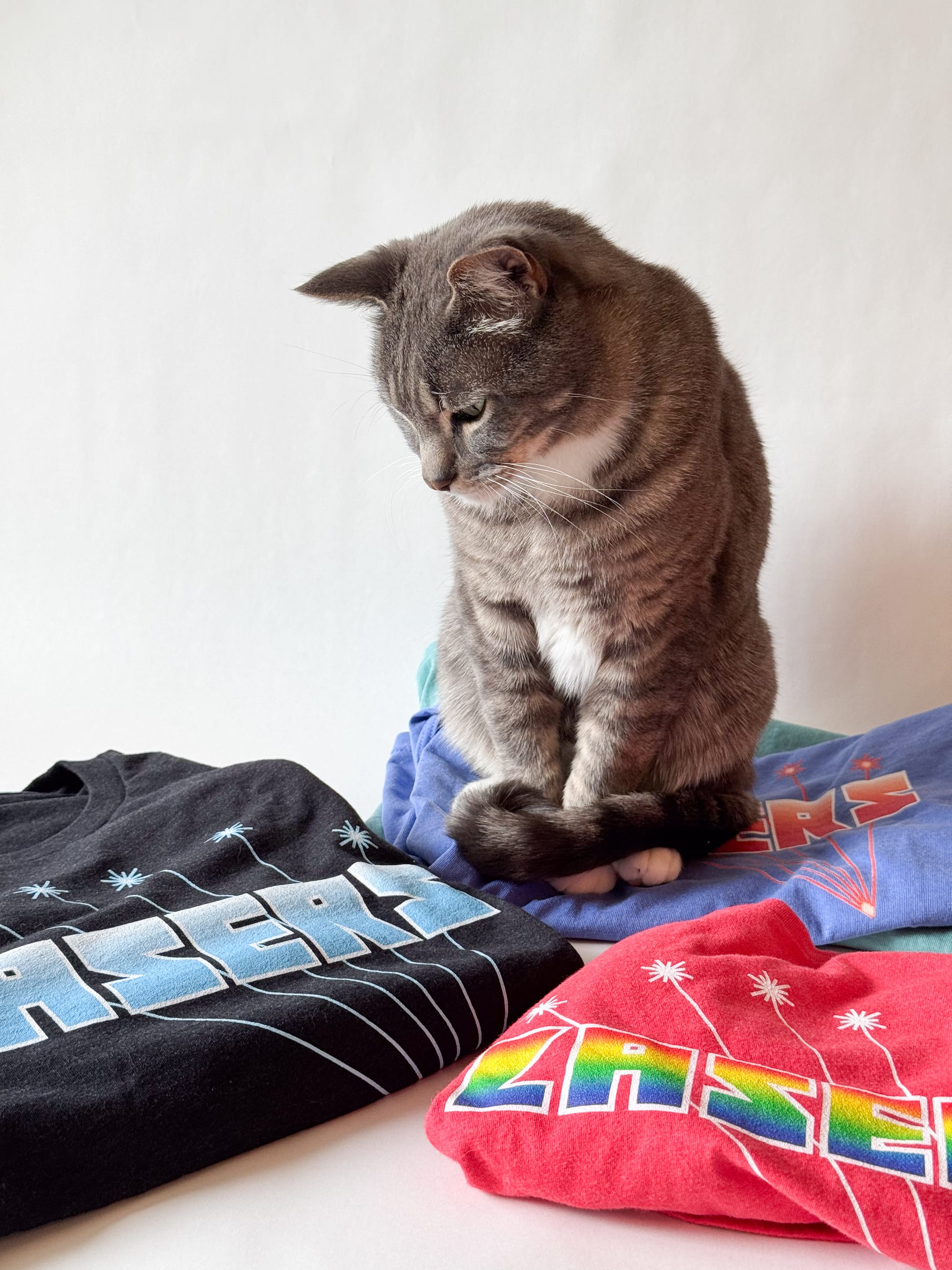 A grey tabby cat, still sitting on a pile of two tank tops, inspects two new t-shirts that have been laid before him. His tail is curled adorably around his front paws.